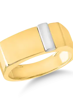 Inel pentru barbati din aur alb-galben de 14K